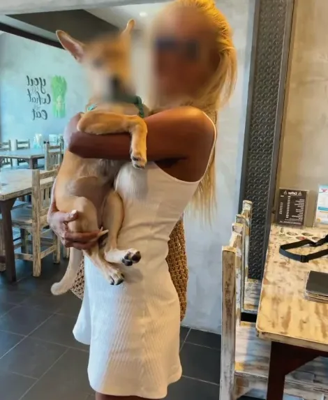 Vivien, 25
